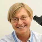 Dr. Jitka Persinova, MD - Brockton, MA - Pathology