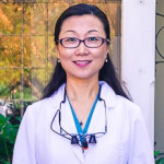 Dr. Zhihui Tang, DDS - Glastonbury, CT - Dentistry
