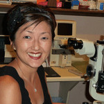 Dr. Sonia K Chung - Phoenix, AZ - Optometry