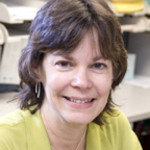 Dr. Barbara Carter Hamm, PhD - Somerville, MA - Psychology