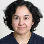 Dr. Naz Jabeen Zulqarni MD