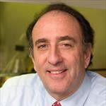 Dr. Jay A Levy, MD