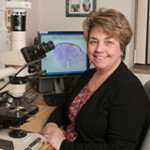 Dr. Michele B Conlon, MD - Manchester, CT - Pathology, Hematology