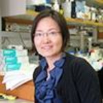Dr. Liwei E Huang, MD