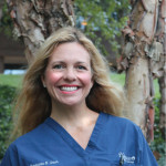 Dr. Stephanie Ann Berlet-Dach, DO - Greenville, SC - Obstetrics & Gynecology