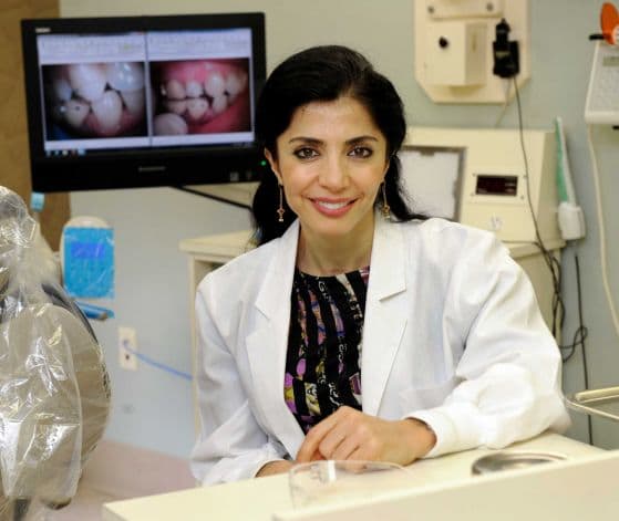 Dr. Leila Chahine, DDS - Danbury, CT - Dentistry