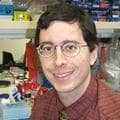 Dr. Terrence Lee Geiger, MD