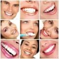 Dr. David J Novak - High Point, NC - Dentistry
