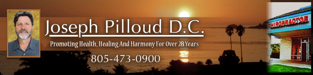 Dr. Joseph D Pilloud, DC