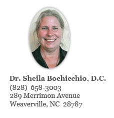 Dr. Sheila A Bochicchio