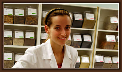 Dr. Michelle Siegel, DC