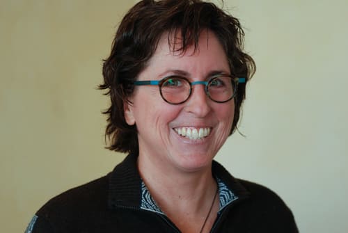 Dr. Susan Borrelli, DC - Chicago, IL - Chiropractor