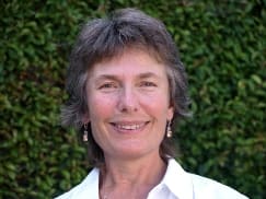Dr. Patricia E Wolff, DC
