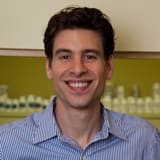 Dr. Robert Joseph D Aquila, DC - New York, NY - Chiropractor