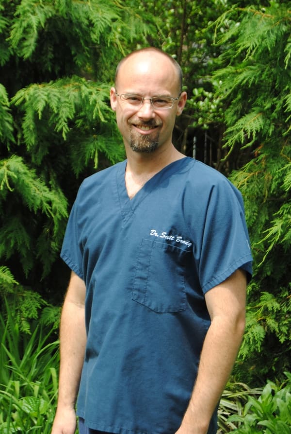Dr. Scott E Brady, DDS - Riverton, NJ - Dentistry