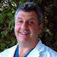 Dr. Haskell C Kingston, DDS