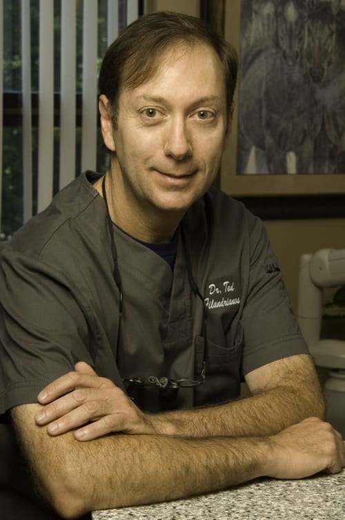 Dr. Theodore D Filandrianos, DDS - Newton Center, MA - Dentistry