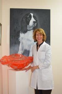 Dr. Mary Ann Pittman, DDS - St Petersburg, FL - Dentistry