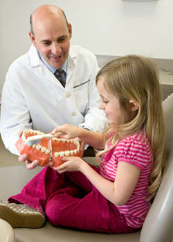 Dr. Stephen J Verber, DDS - Camp Hill, PA - Dentistry