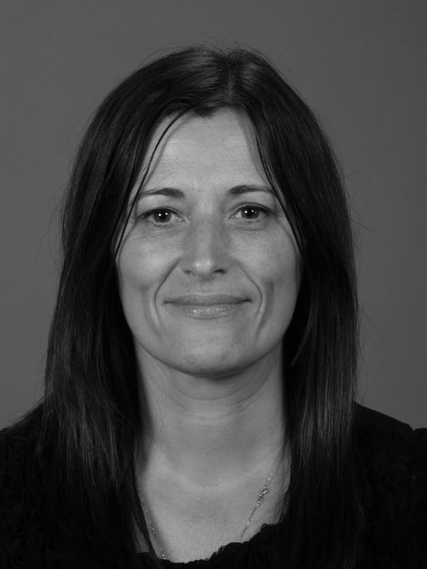 Dr. Simona Liliana Katona - Chicago, IL - Dentistry