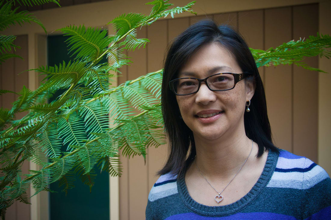 Dr. Mary Ann C Shui, OD - San Jose, CA - Optometry