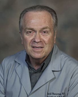 Dr. David Wasserman, MD - Elmhurst, IL - Diagnostic Radiology