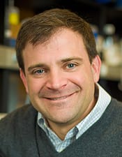 Dr. David Marc Weinstock, MD - Boston, MA - Internal Medicine, Oncology