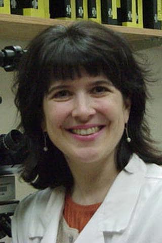 Dr. Julie Lynne Fudge, MD - Rochester, NY - Psychiatry