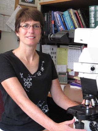 Dr. Ellen Joan Giampoli, MD - Rochester, NY - Pathology, Cytopathology