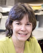 Dr. Barbara Carter Hamm, PhD - Somerville, MA - Psychology