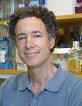 Dr. Bruce Albert Yankner, MD - Boston, MA - Neurology, Internal Medicine