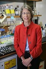 Dr. Katherine A Hajjar, MD - New York, NY - Hematology, Pediatrics