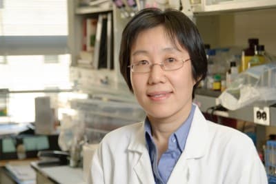 Dr. Liying Zhang, MD - Los Angeles, CA - Medical Genetics