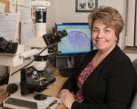 Dr. Michele B Conlon, MD