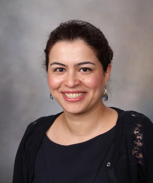 Dr. Ladan Zand, MD - Rochester, MN - Nephrology, Internal Medicine