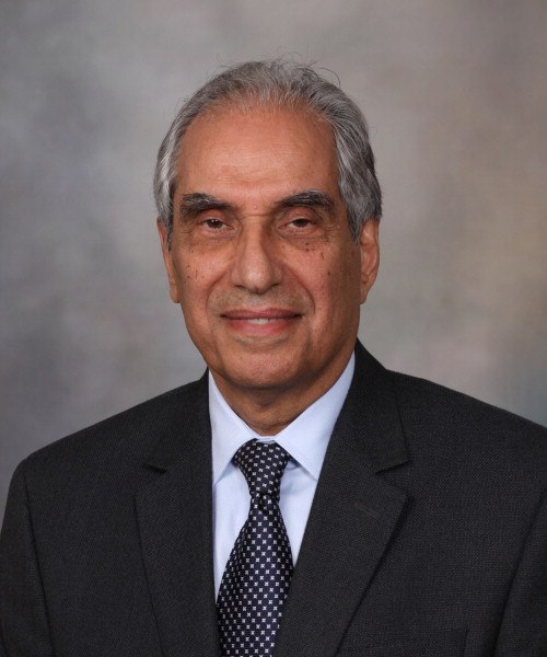Dr. Hossein Gharib - Rochester, MN - Endocrinology,  Diabetes & Metabolism, Internal Medicine