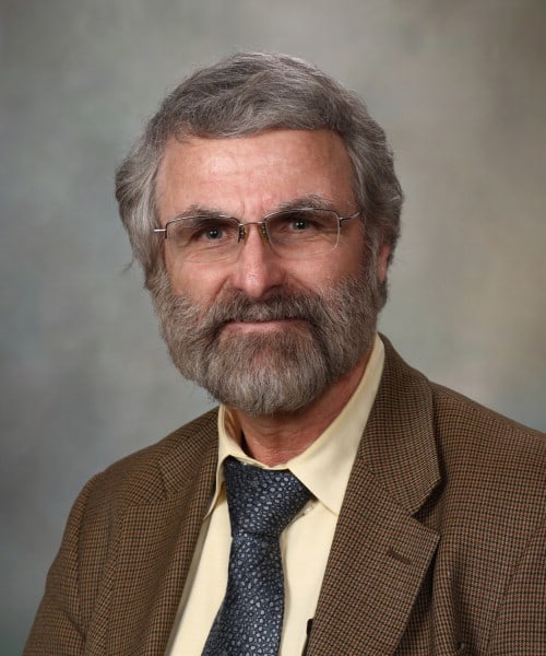 Dr. Robert Dennis Fealey, MD - ROCHESTER, MN - Neurology